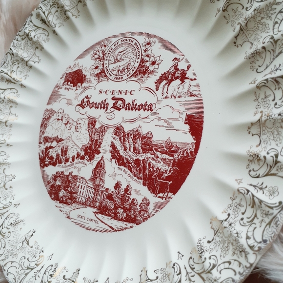 VTG Scenic South Dakota Souvenir Decorative Plate - Picture 7 of 8